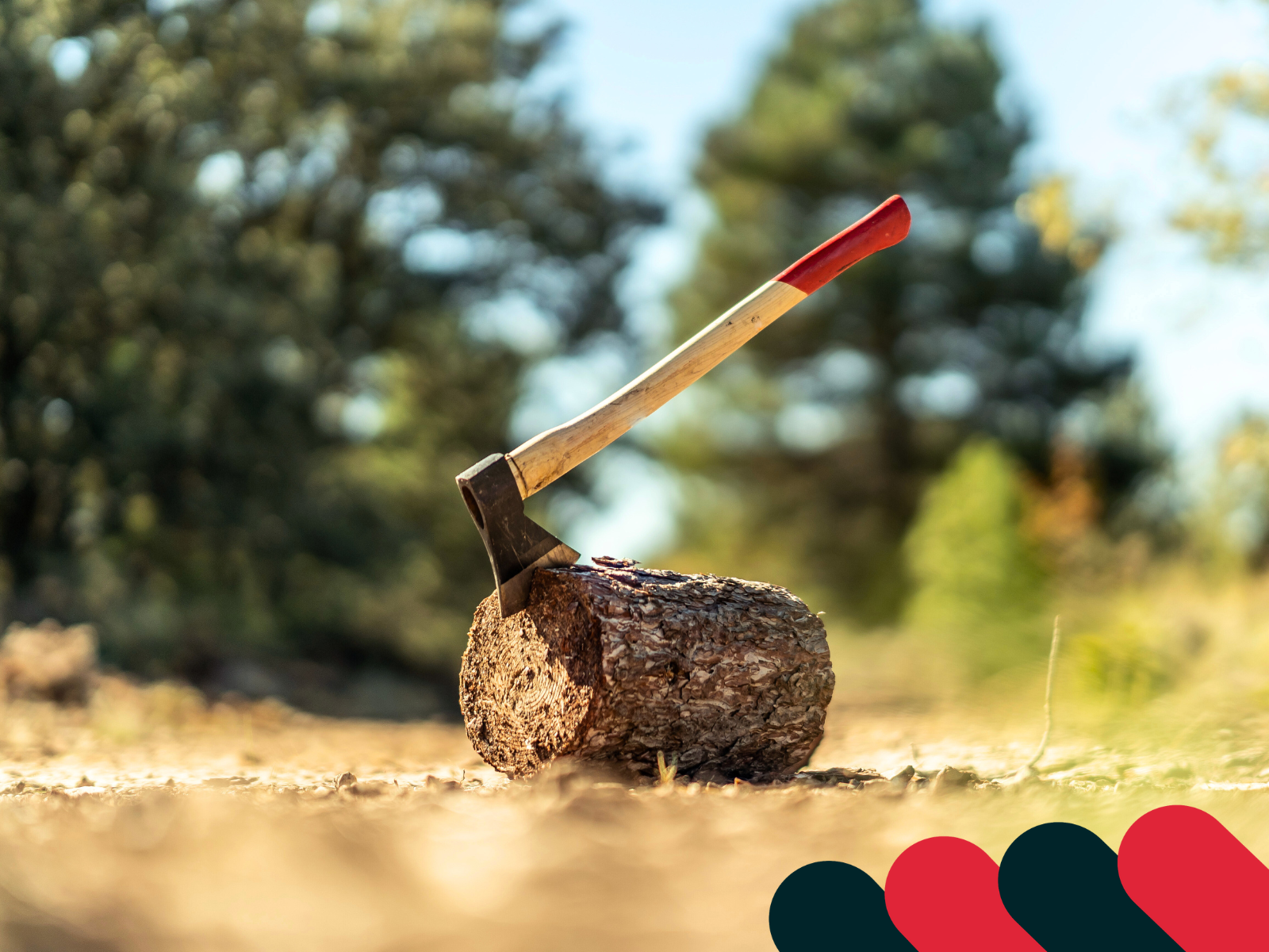 Bezpieczne rąbanie drewna - odpowiednia technika i narzędzia | Kotarbau