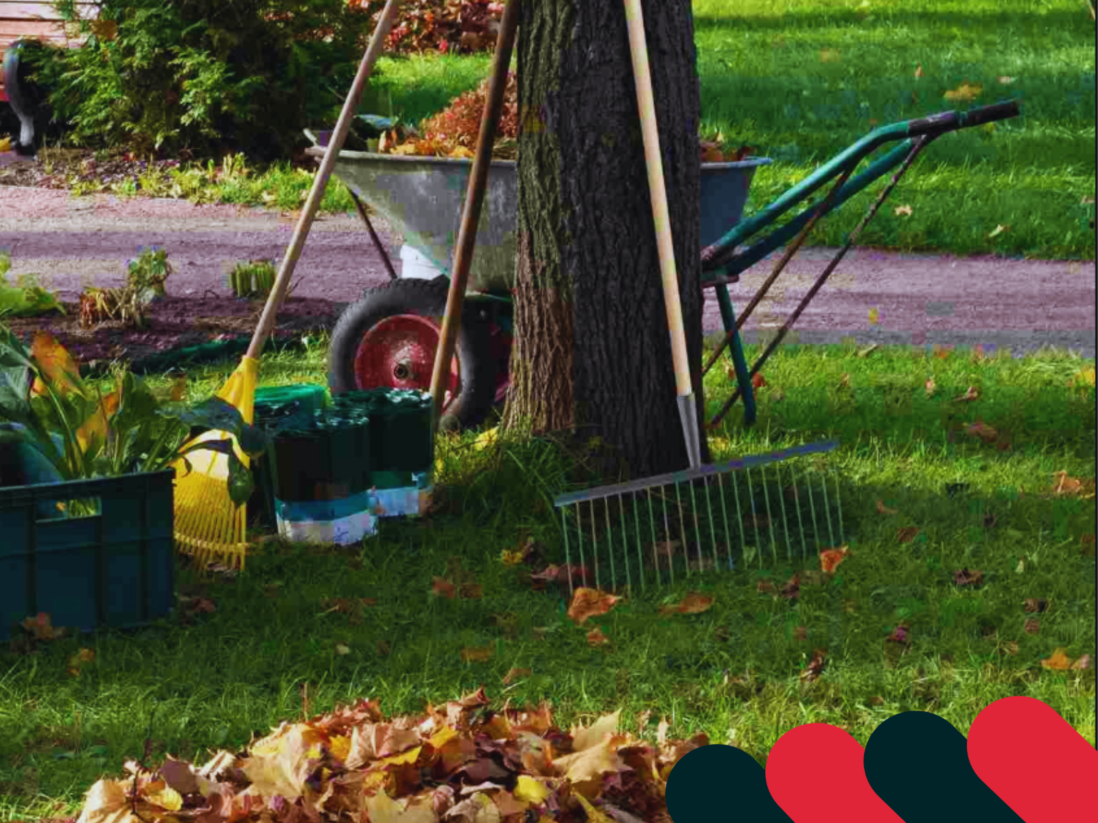 Worki foliowe i papierowe na liście w ogrodzie | Kotarbau