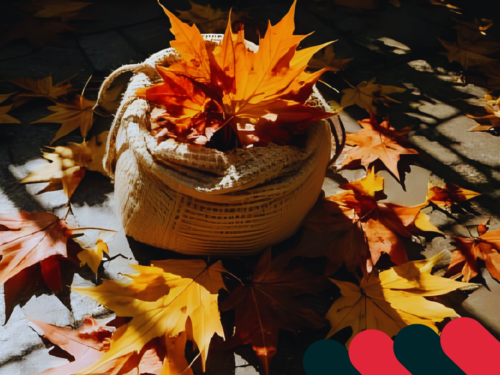 Mocne i pojemne worki materiałowe na jesienne porządki | Kotarbau