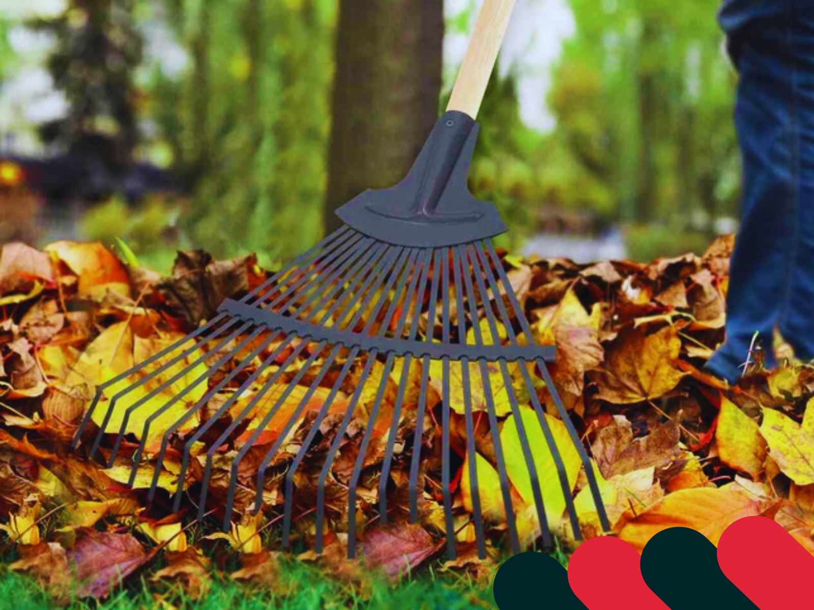 Grabie ogrodowe do liści i trawy | Kotarbau