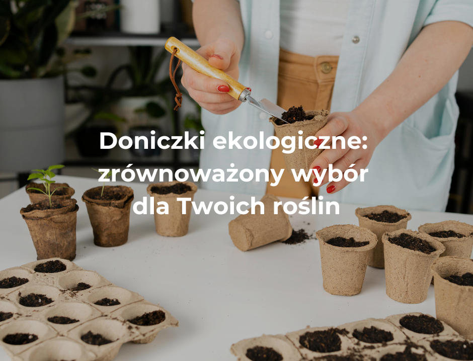 doniczki ekologiczne: zrównoważony wybór dla Twoich roślin