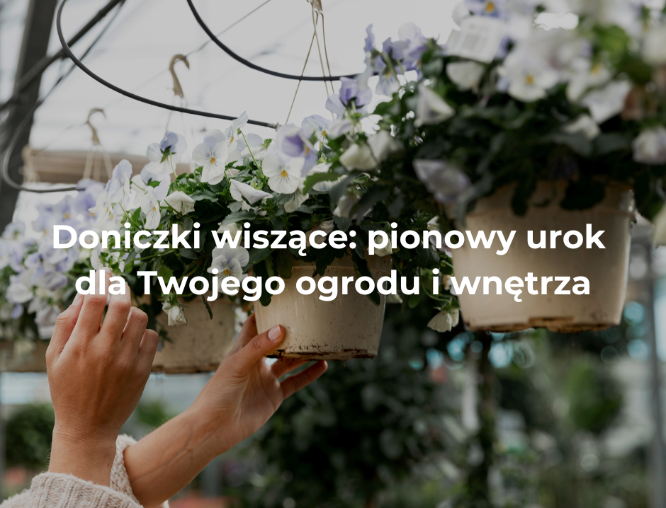 Doniczki wiszące: pionowy urok dla Twojego ogrodu i wnętrza