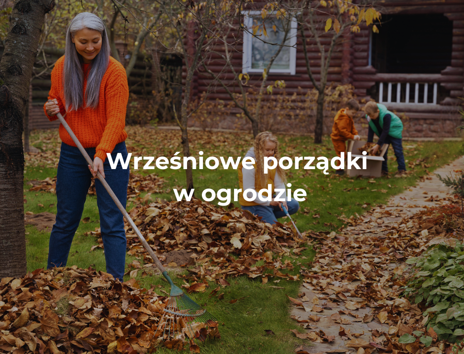 Wrześniowe porządki w ogrodzie