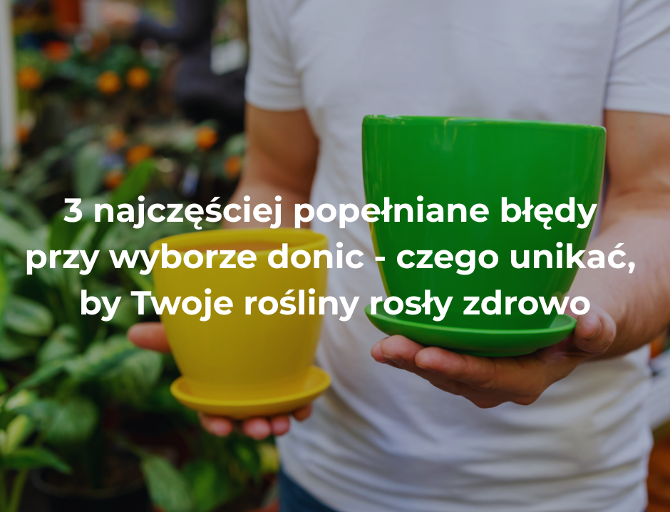 3 najczęściej popełniane błędy przy wyborze donic - czego unikać, by Twoje rośliny rosły zdrowo