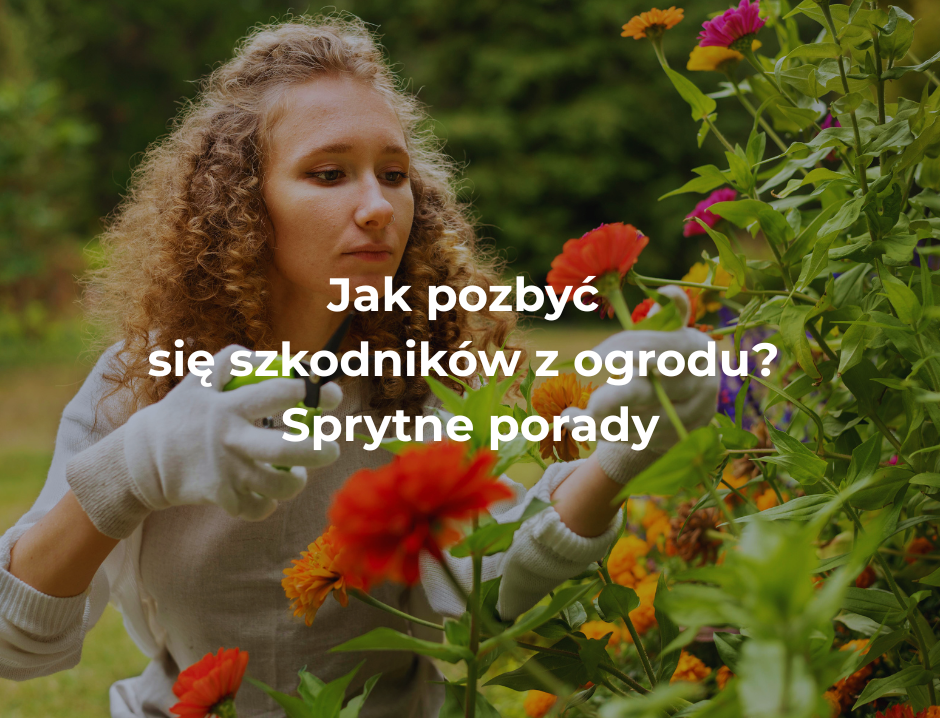 Jak pozbyć się szkodników z ogrodu? Sprytne porady