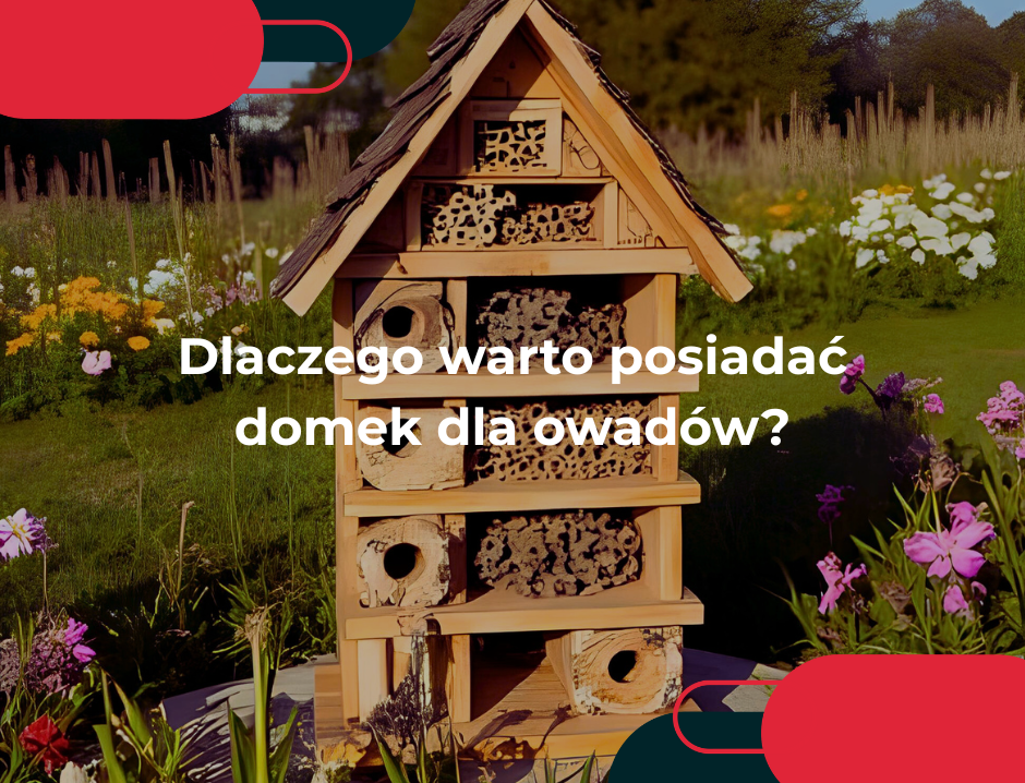 Dlaczego warto posiadać domek dla owadów?