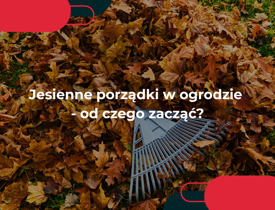 Jesienne porządki w ogrodzie - od czego zacząć?