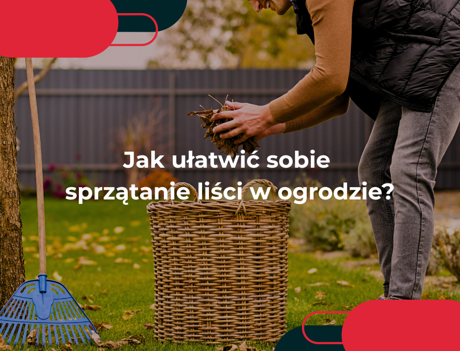 Jak ułatwić sobie sprzątanie liści w ogrodzie?