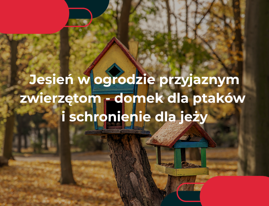 Jesień w ogrodzie przyjaznym zwierzętom - domek dla ptaków i schronienie dla jeży
