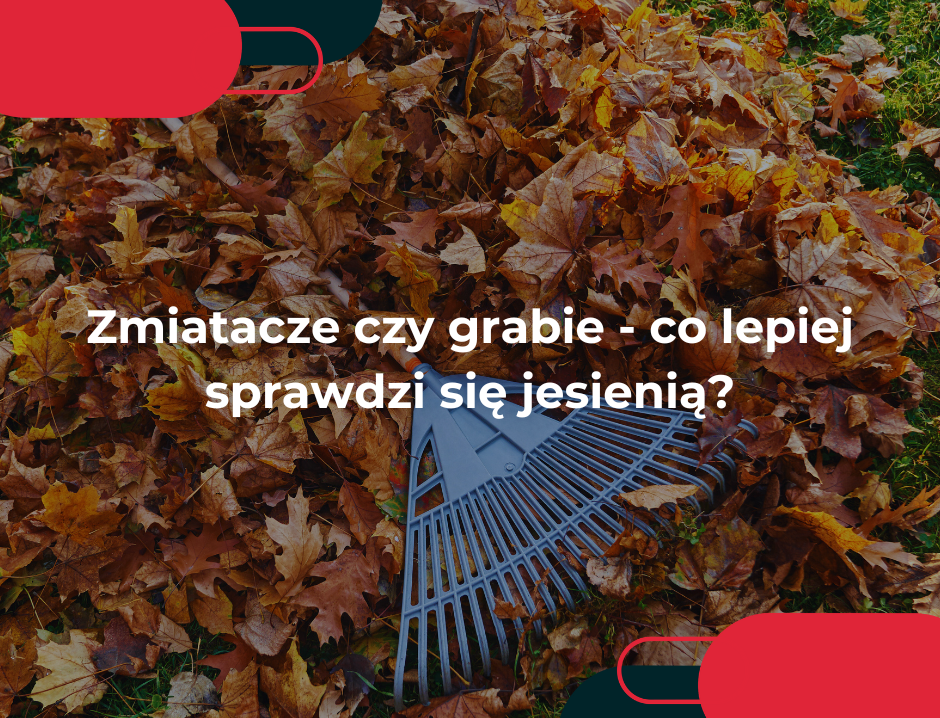 Zmiatacze czy grabie - co lepiej sprawdzi się jesienią?