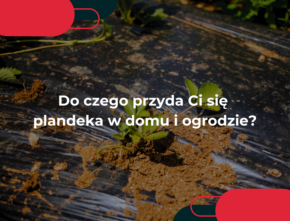 Do czego przyda Ci się plandeka w domu i ogrodzie?