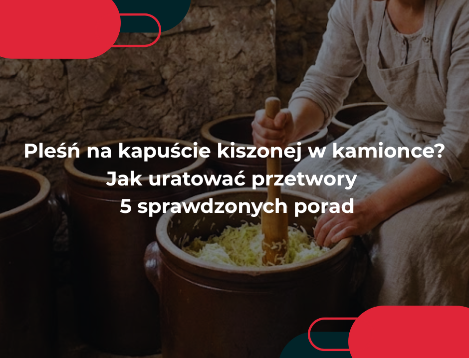 Pleśń na kapuście kiszonej w kamionce? Jak uratować przetwory – 5 sprawdzonych porad
