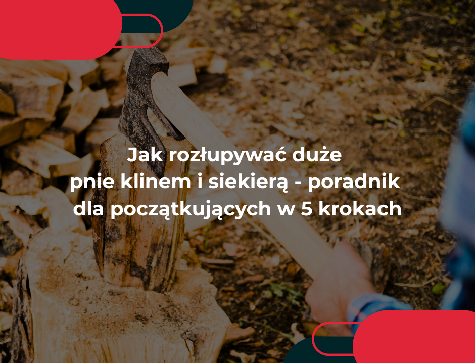 Jak rozłupywać duże pnie klinem i siekierą – poradnik dla początkujących w 5 krokach