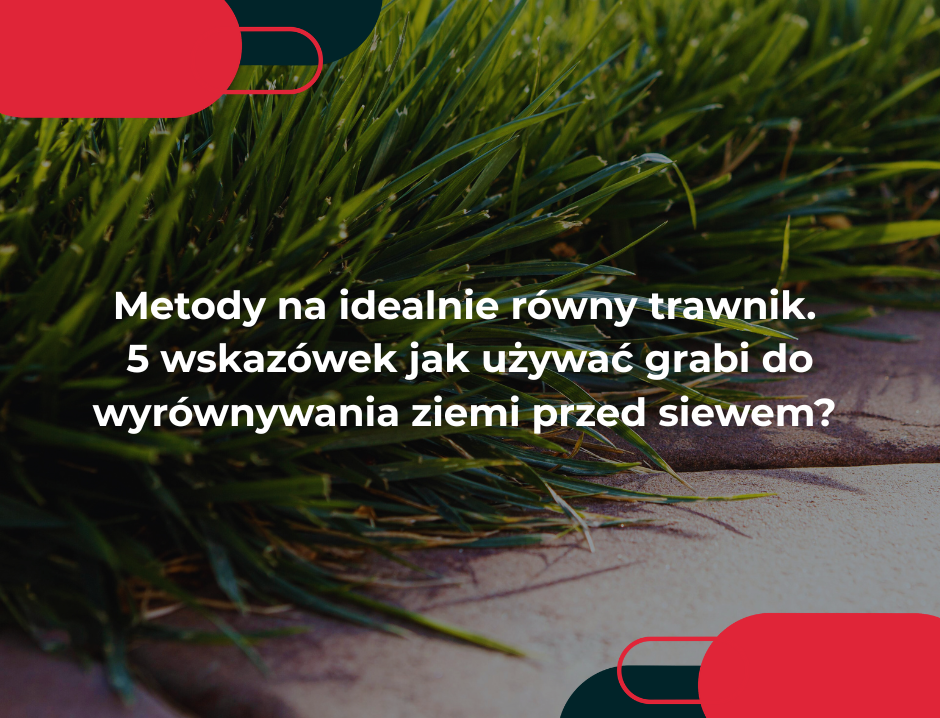 Metody na idealnie równy trawnik. 5 wskazówek jak używać grabi do wyrównywania ziemi przed siewem? 