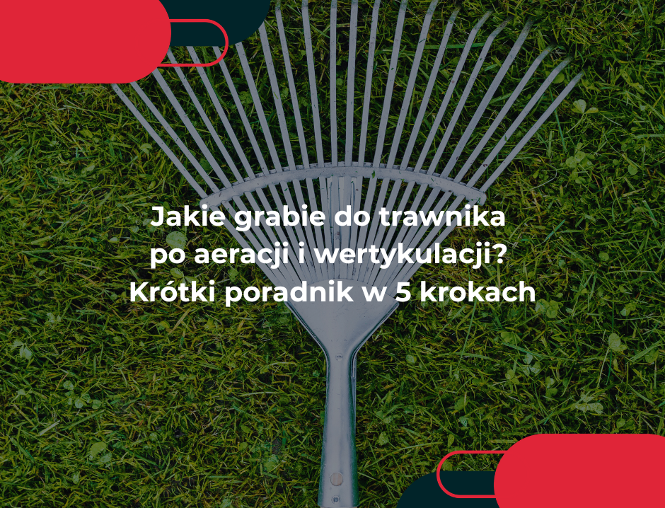 Jakie grabie do trawnika po aeracji i wertykulacji? Krótki poradnik w 5 krokach