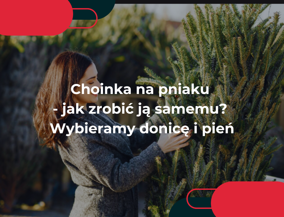 Choinka na pniaku – jak zrobić ją samemu? Wybieramy donicę i pień