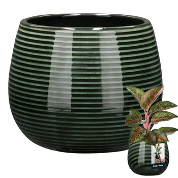 Doniczka ceramiczna okrągła ryflowana na kwiaty 12 cm - Kolor kobaltowy