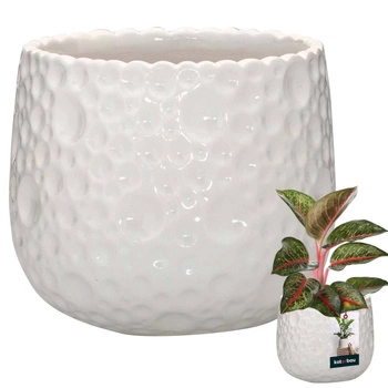 Doniczka ceramiczna okrągła biała na kwiaty rośliny 12 cm