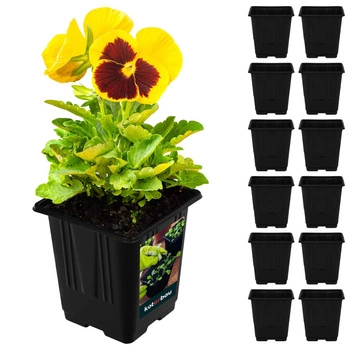 Doniczki rozsadowe kwadrat 7 cm zestaw 12 szt.