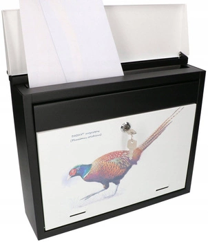 Skrzynka na listy gazety pocztowa zdobiona grafiką