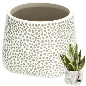 Osłonka pękata ⌀ 11 cm