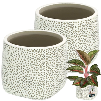 Osłonka pękata ⌀ 12,5 cm 2 szt