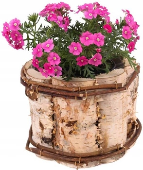 Osłonka okrągła drewniana skrzynka na kwiaty ⌀12 cm