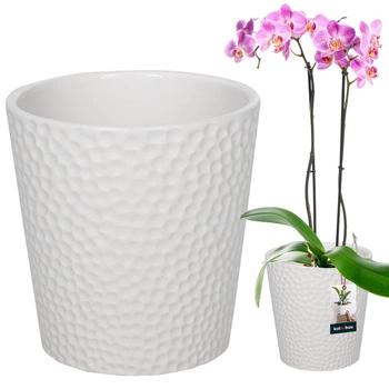 Doniczka ceramiczna biała na kwiaty rośliny storczyki 9,5 cm