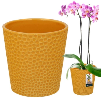 Doniczka ceramiczna musztardowa na kwiaty rośliny storczyki 9,5 cm