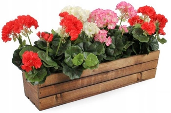 Skrzynka drewniana balkonowa na kwiaty zioła brązowa 60 cm