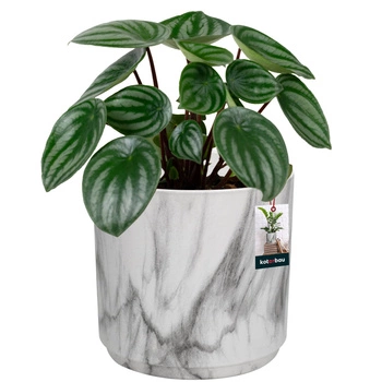Doniczka ceramiczna marmurowa okrągła na kwiaty 12 cm