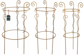 Zestaw podpora rdza podpórka pergola stal kwiatów - Kolor rdza